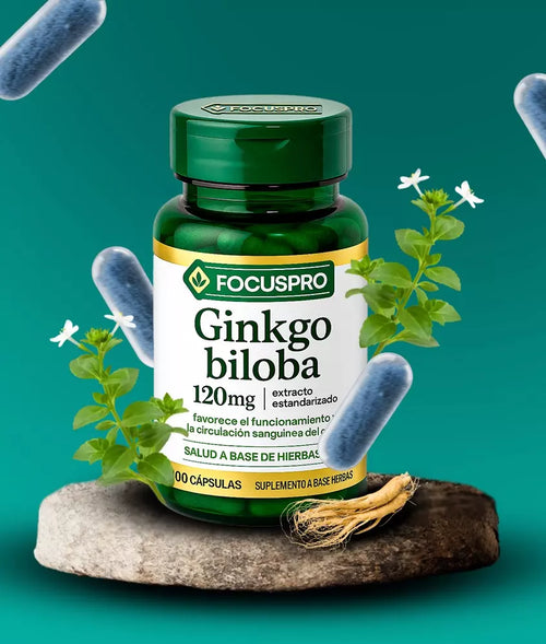 FOCUSPRO GINKGO BILOBA - MEJORA TU CONCENTRACIÓN DÍA A DÍA